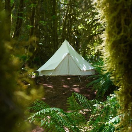 Wander Camp Olympic Hotel Port Angeles Exterior photo